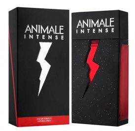 Perfume Animale Intense Eau de Toilette Masculino 50ML - Image 1