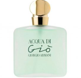 Perfume Giorgio Armani Acqua Di Gio Eau de Toilette Feminino 100ML - Image 1